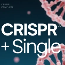 CRISPR + Single-Cell Sequencing: A Deep Dive into Technical Integration