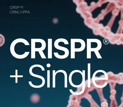 CRISPR-Single