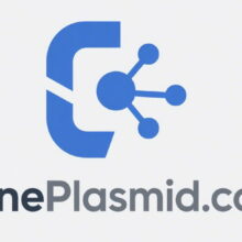 GenePlasmid: A Comprehensive Analysis