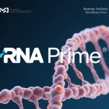 How RNA Prime Revolutionizes Precision Gene Repair