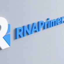 RNA Primer-RNA Primer