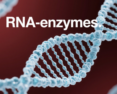 RNAenzymes