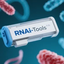Understanding RNAi Technologies in Drug Development and Genomics