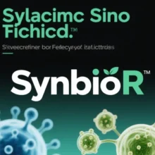 Decoding “SynBio R”: Multidimensional Interpretations and Contextual Analysis