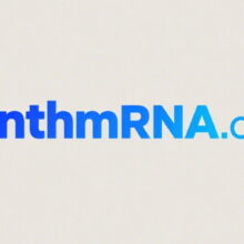 Synth mRNA-SynthmRNA