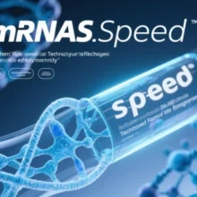 mRNA Speed‌-mRNASpeed‌