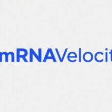 mRNA Velocity-mRNAVelocity