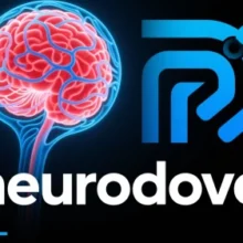 Neurodecode: Definition, Technical Insights, and Applications