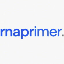 RNA primer-RNAprimer