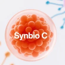 Semantic Deconstruction and Academic Positioning of SynBioC
