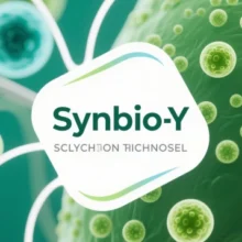 Decoding “SynBio Y”: Multidimensional Interpretations and Contextual Analysis