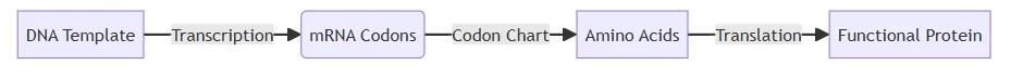 Codon Chart