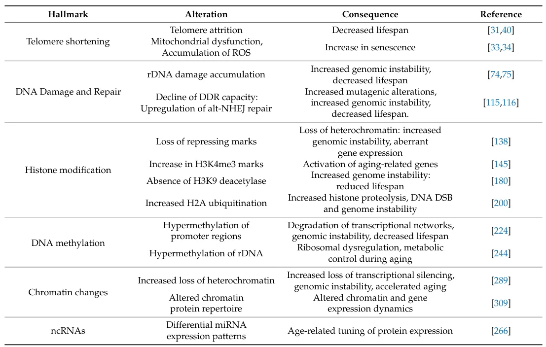 Genetic Variants Influencing Human Lifespan: Mechanisms, Discoveries, and Implications