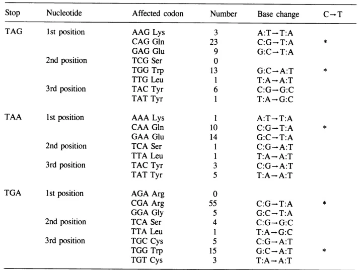 stop codons stop codons