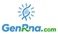 Logo sxd